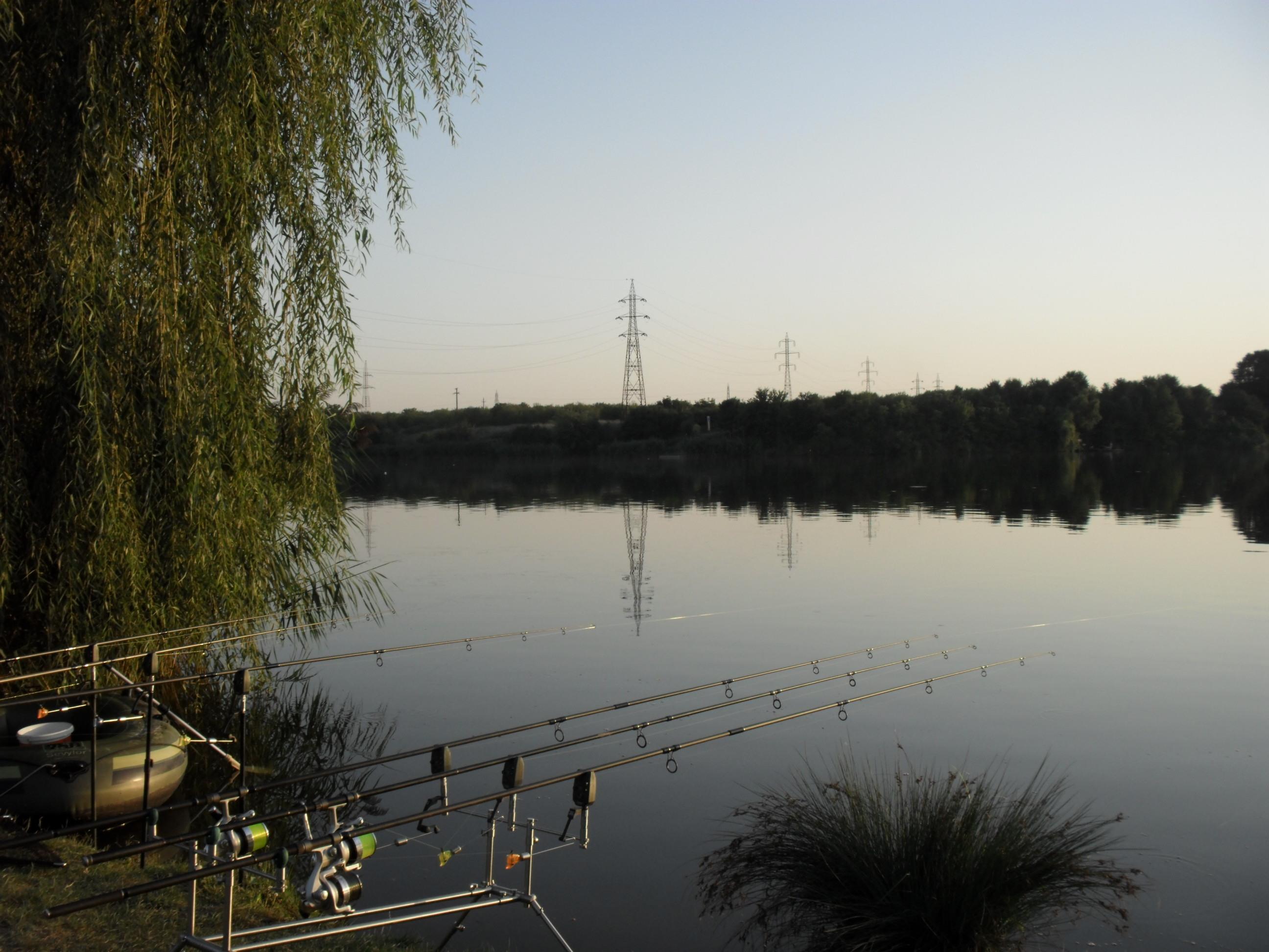 somn mania tancabesti - SAM_0863.JPG